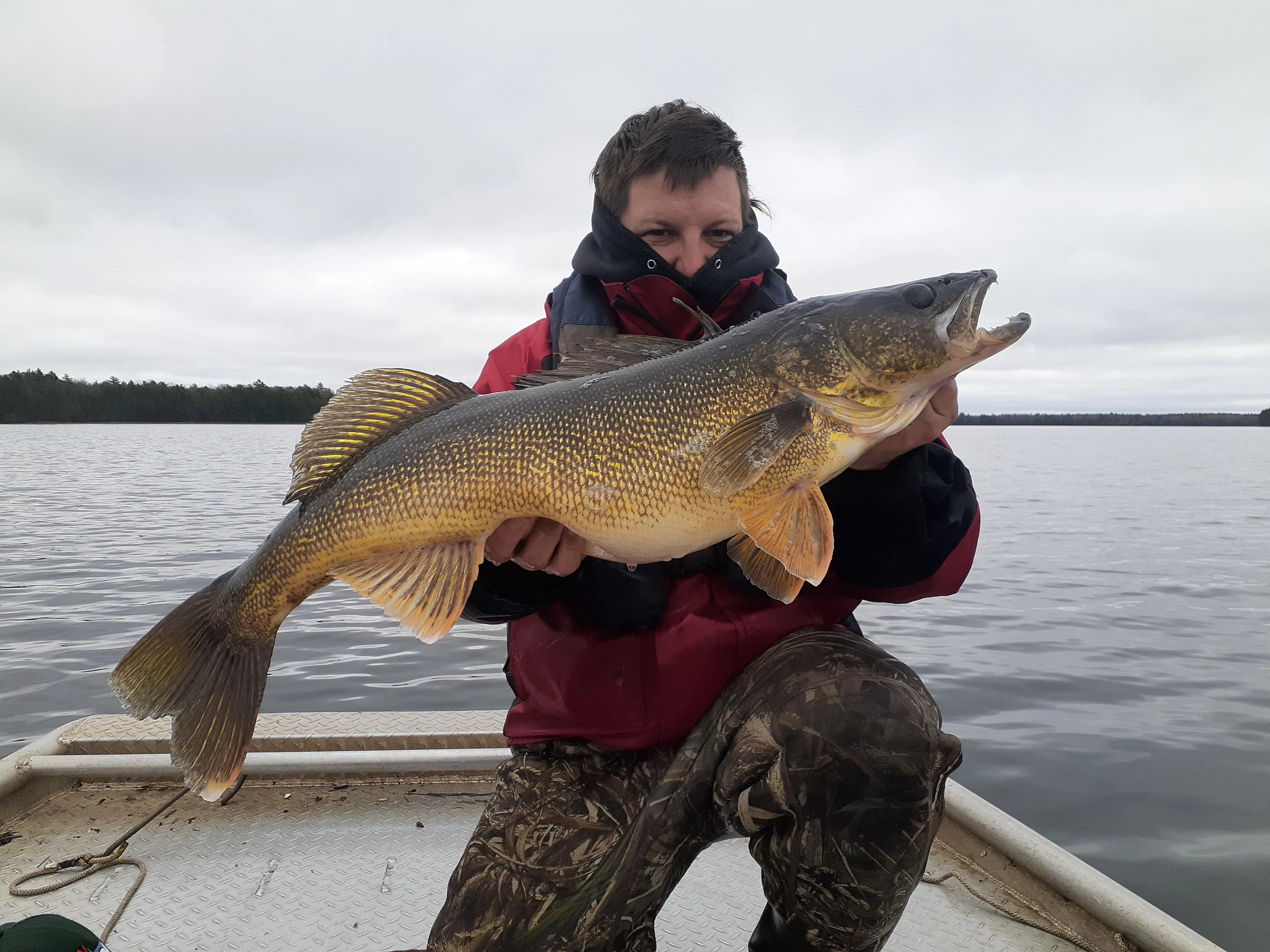Minocqua Chain Walleye Catch And Release Regulation Extension Virtual